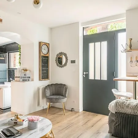 Sauna, Jacuzzi, Terrasse Et Parking Appartement Rouen
