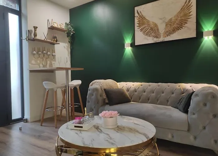 Apartment Sauna, Jacuzzi, Terrasse Et Parking Rouen